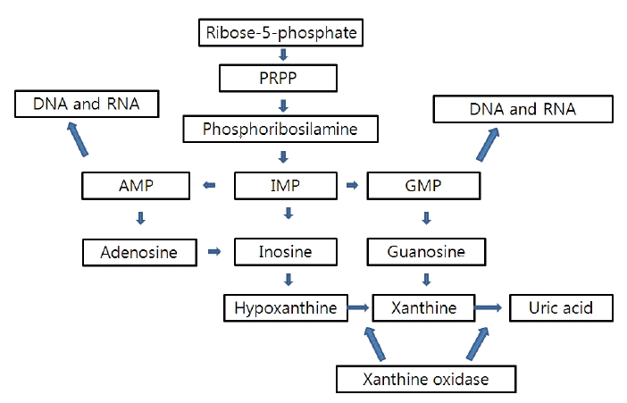 Alkohol