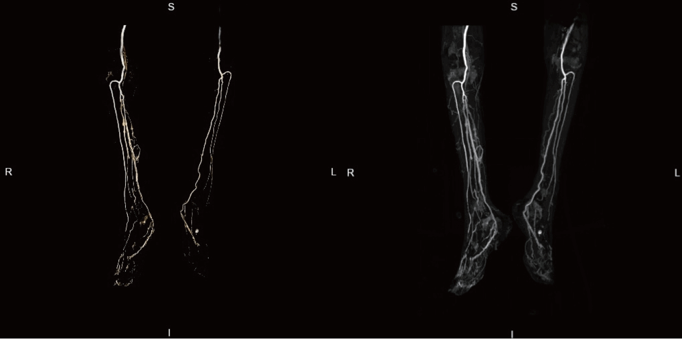 kjm-101-3-159f4.tif
