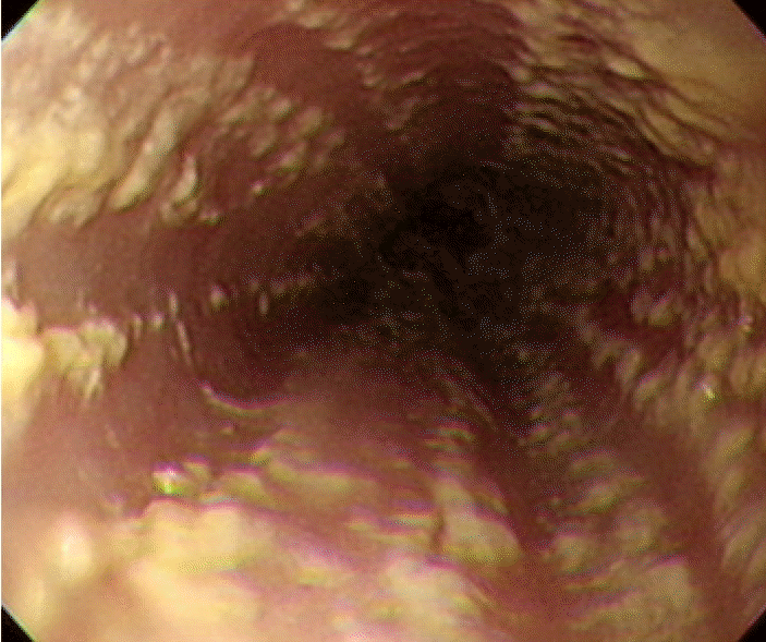 kjm-82-2-247-20f1.gif