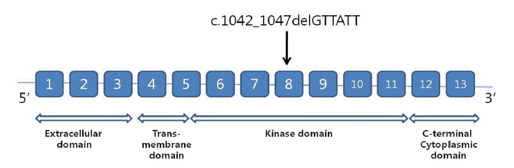kjm-83-2-238-14f2.gif