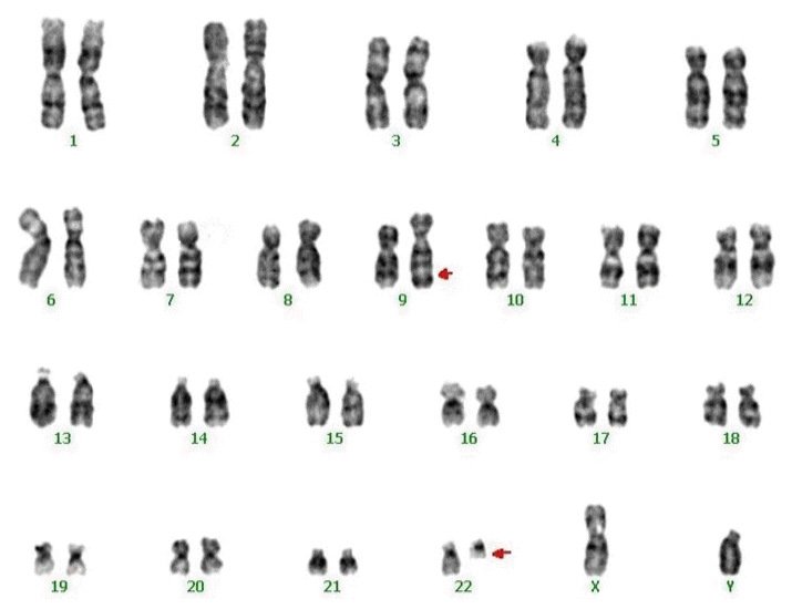 kjm-83-3-405-21f4.gif