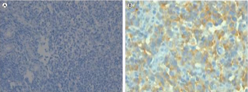 kjm-83-5-674-22f4.gif