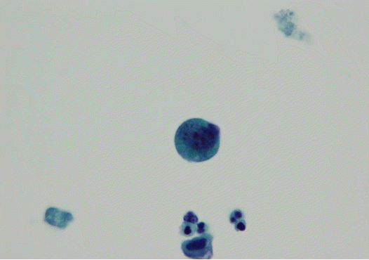 kjm-83-6-771-13f2.gif